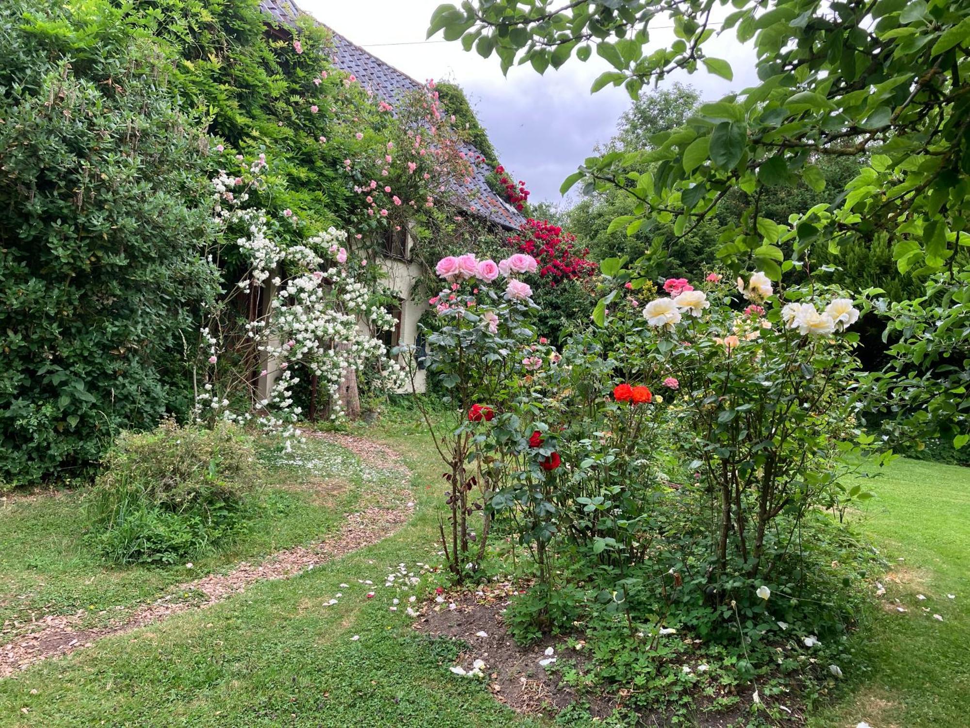 Valley Farmhouse, Westhall Bed & Breakfast 4*